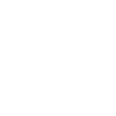 Fast Delivery